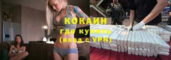 крисы Алексин