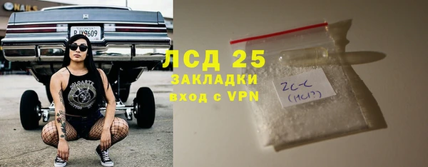 амф Ельня